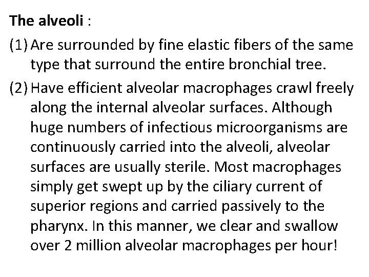 The alveoli : (1) Are surrounded by fine elastic fibers of the same type The alveoli : (1) Are surrounded by fine elastic fibers of the same type