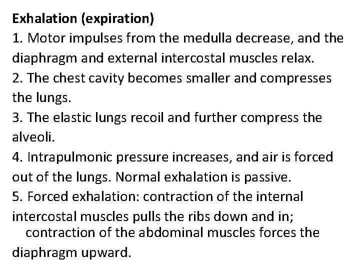 Exhalation (expiration) 1. Motor impulses from the medulla decrease, and the diaphragm and external