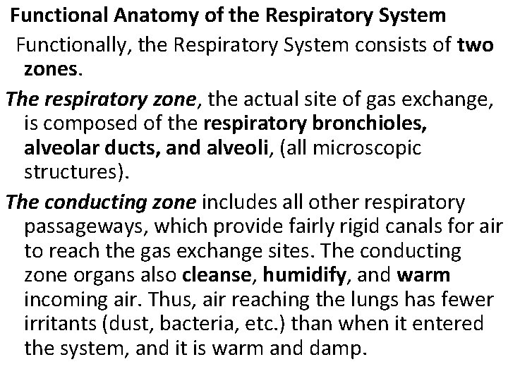  Functional Anatomy of the Respiratory System Functionally, the Respiratory System consists of two