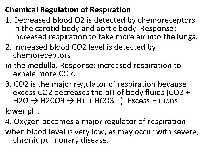 Chemical Regulation of Respiration 1. Decreased blood O 2 is detected by chemoreceptors in