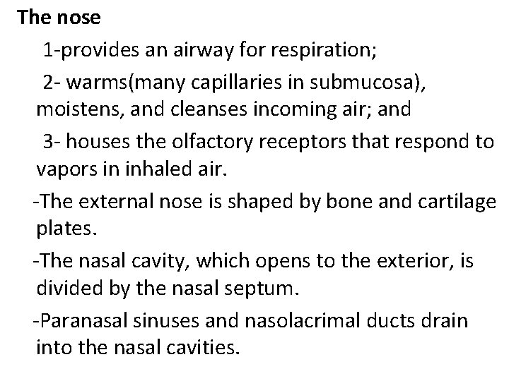 The nose 1 -provides an airway for respiration; 2 - warms(many capillaries in submucosa),