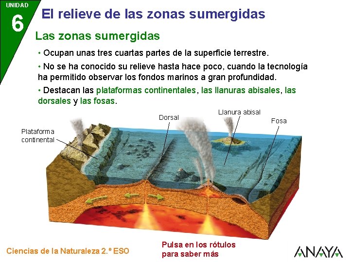 UNIDAD 6 El relieve de las zonas sumergidas Las zonas sumergidas • Ocupan unas
