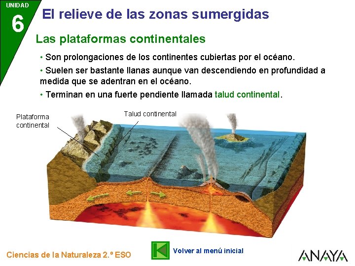 UNIDAD 6 El relieve de las zonas sumergidas Las plataformas continentales • Son prolongaciones