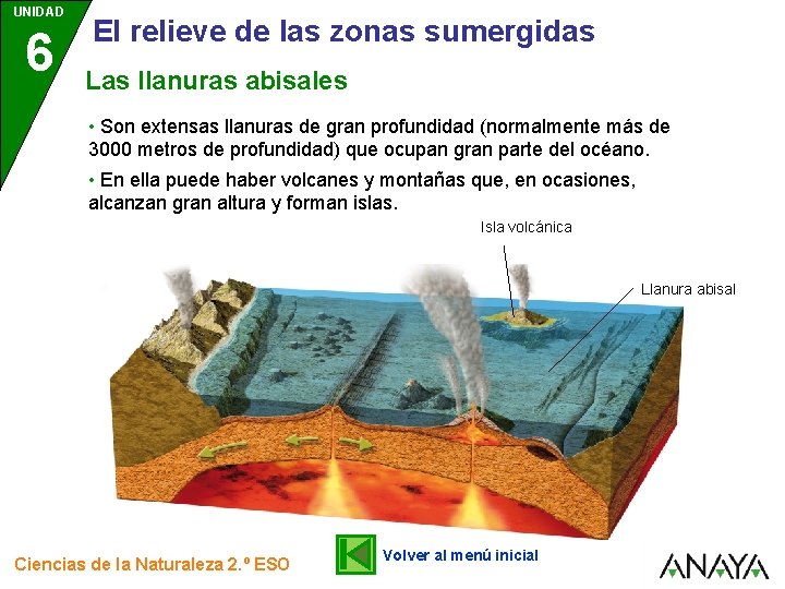 UNIDAD 6 El relieve de las zonas sumergidas Las llanuras abisales • Son extensas