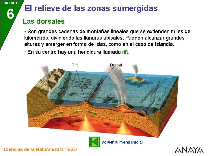 UNIDAD 6 El relieve de las zonas sumergidas Las dorsales • Son grandes cadenas