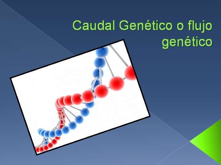 Caudal Genético o flujo genético 