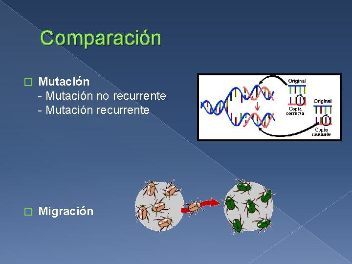 Comparación � Mutación - Mutación no recurrente - Mutación recurrente � Migración 