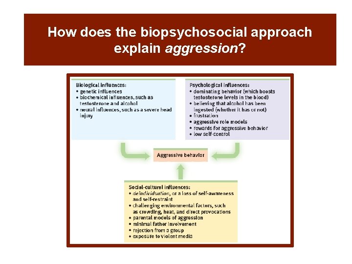How does the biopsychosocial approach explain aggression? How does the biopsychosocial approach explain aggression?