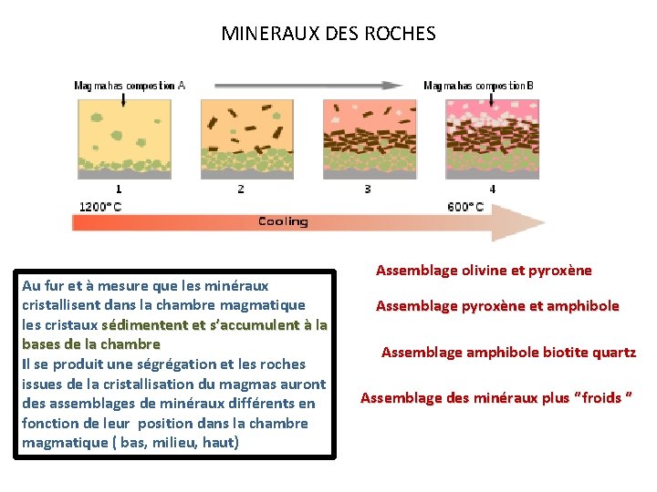 MINERAUX DES ROCHES Au fur et à mesure que les minéraux cristallisent dans la