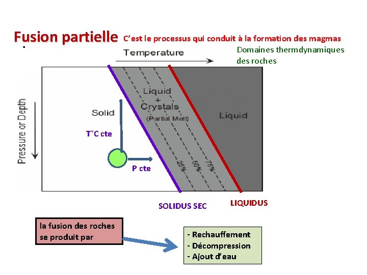 C’est le processus qui conduit à la formation des magmas Fusion partielle. Domaines thermdynamiques