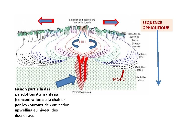 SEQUENCE OPHIOLITIQUE I III II MOHO Fusion partielle des péridotites du manteau (concentration de