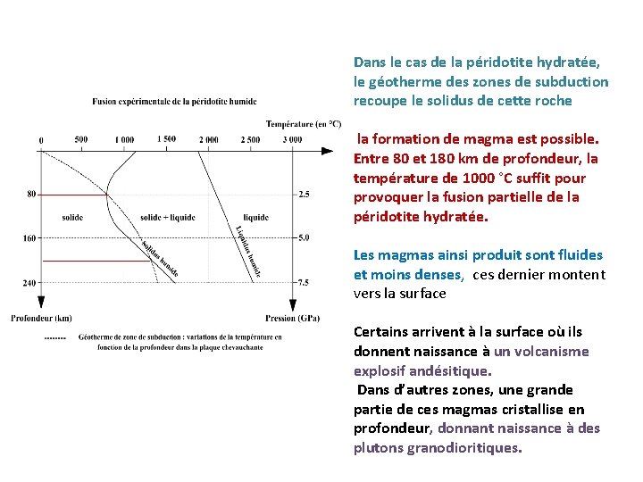 Dans le cas de la péridotite hydratée, le géotherme des zones de subduction recoupe