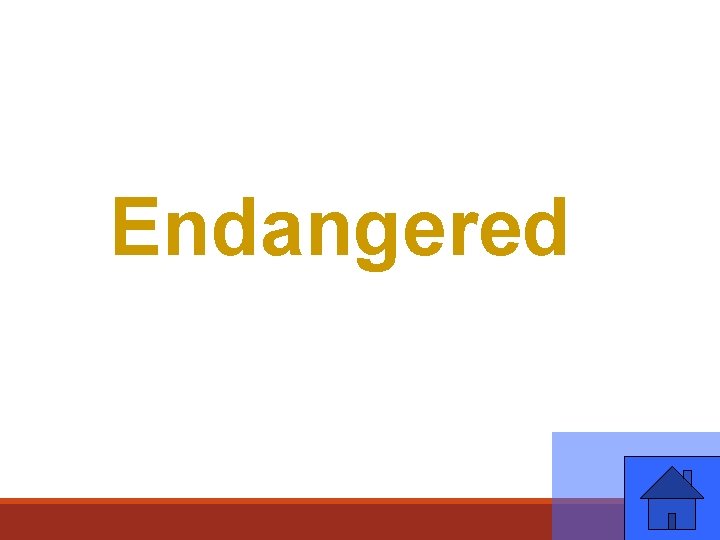 Endangered 