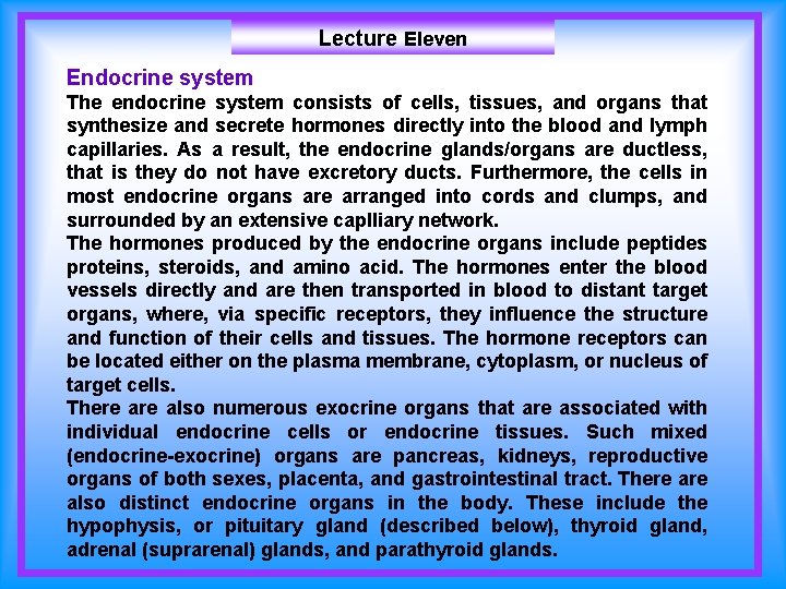 Lecture Eleven Endocrine system The endocrine system consists of cells, tissues, and organs that