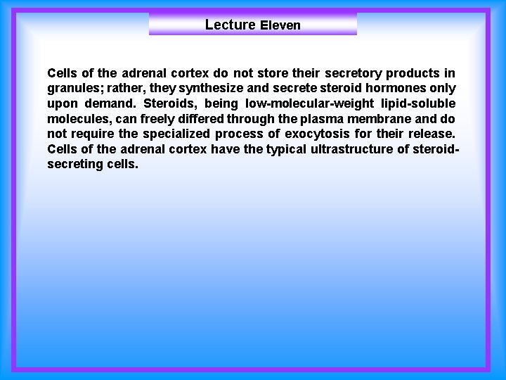 Lecture Eleven Cells of the adrenal cortex do not store their secretory products in