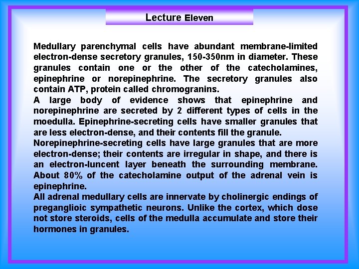 Lecture Eleven Medullary parenchymal cells have abundant membrane-limited electron-dense secretory granules, 150 -350 nm