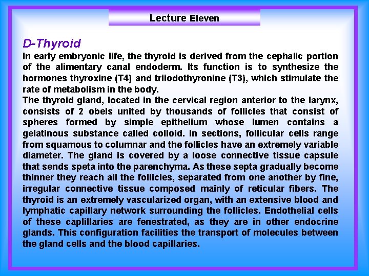 Lecture Eleven D-Thyroid In early embryonic life, the thyroid is derived from the cephalic