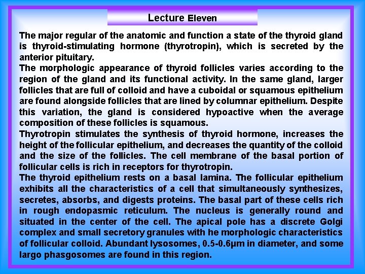 Lecture Eleven The major regular of the anatomic and function a state of the