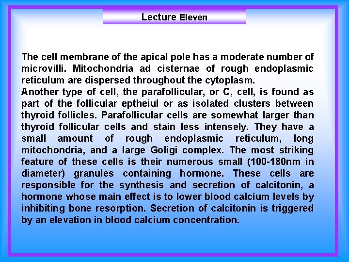 Lecture Eleven The cell membrane of the apical pole has a moderate number of