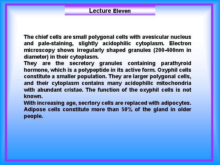 Lecture Eleven The chief cells are small polygonal cells with avesicular nucleus and pale-staining,