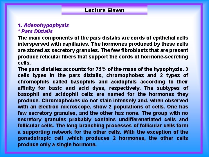 Lecture Eleven 1. Adenohypophysis * Pars Distalis The main components of the pars distalis