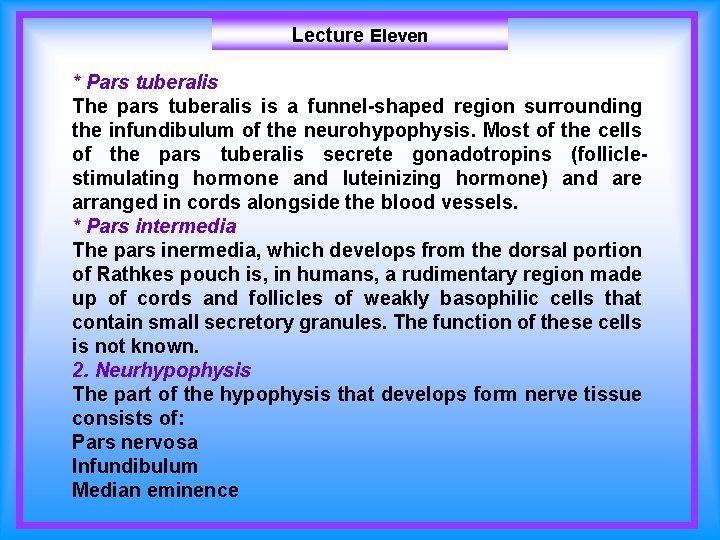 Lecture Eleven * Pars tuberalis The pars tuberalis is a funnel-shaped region surrounding the