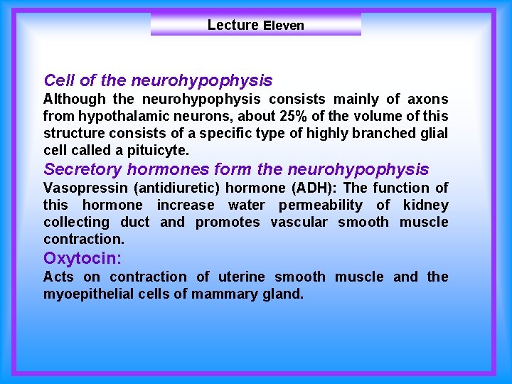 Lecture Eleven Cell of the neurohypophysis Although the neurohypophysis consists mainly of axons from