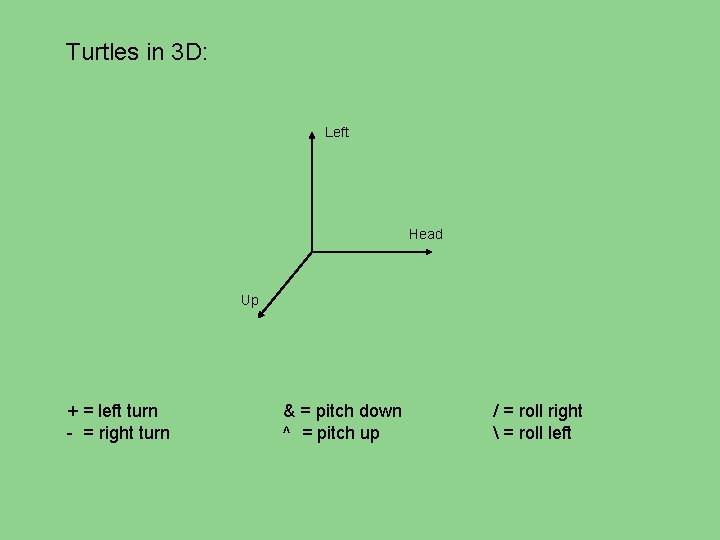 Turtles in 3 D: Left Head Up + = left turn - = right
