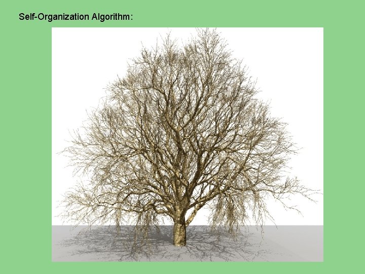Self-Organization Algorithm: 