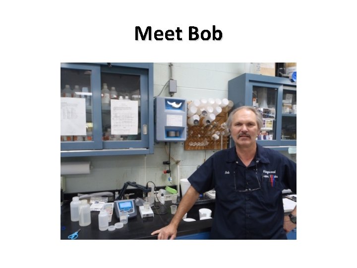 Meet Bob Meet Bob