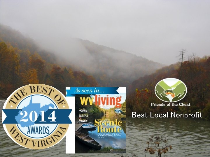Best Local Nonprofit Best Local Nonprofit