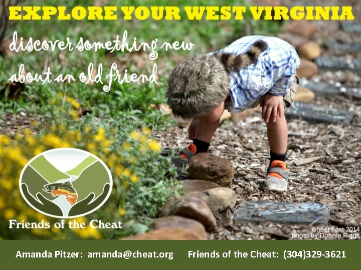 Amanda Pitzer: amanda@cheat. org Friends of the Cheat: (304)329 -3621 Amanda Pitzer: amanda@cheat. org Friends of the Cheat: (304)329 -3621