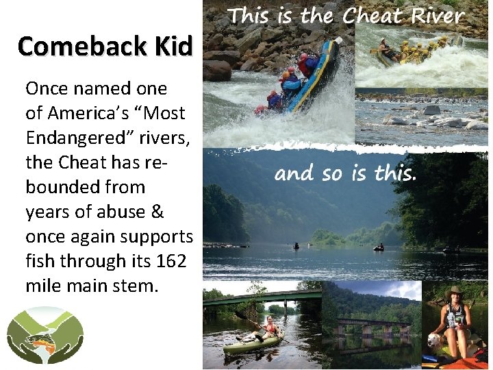 Comeback Kid Once named one of America’s “Most Endangered” rivers, the Cheat has rebounded Comeback Kid Once named one of America’s “Most Endangered” rivers, the Cheat has rebounded