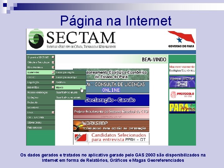 Página na Internet Os dados gerados e tratados no aplicativo gerado pelo GAS 2003