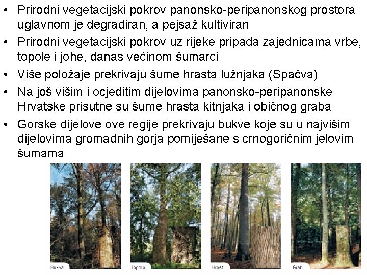  • Prirodni vegetacijski pokrov panonsko-peripanonskog prostora uglavnom je degradiran, a pejsaž kultiviran •