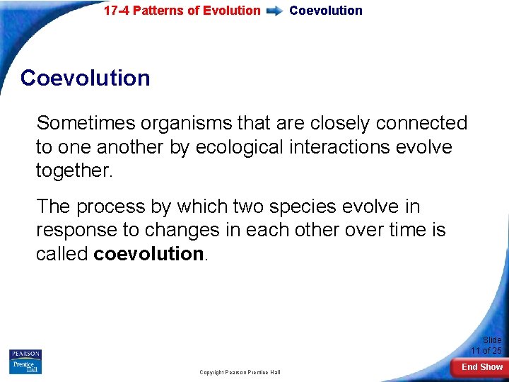 17 -4 Patterns of Evolution Coevolution Sometimes organisms that are closely connected to one