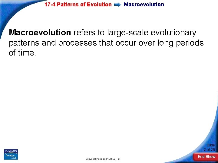 17 -4 Patterns of Evolution Macroevolution refers to large-scale evolutionary patterns and processes that