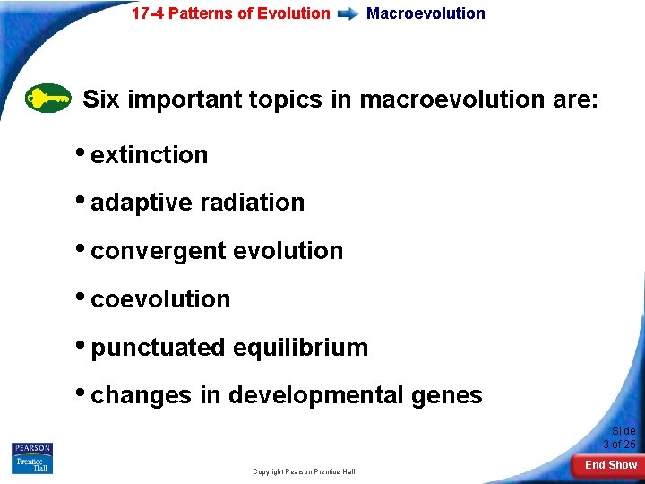 17 -4 Patterns of Evolution Macroevolution Six important topics in macroevolution are: • extinction