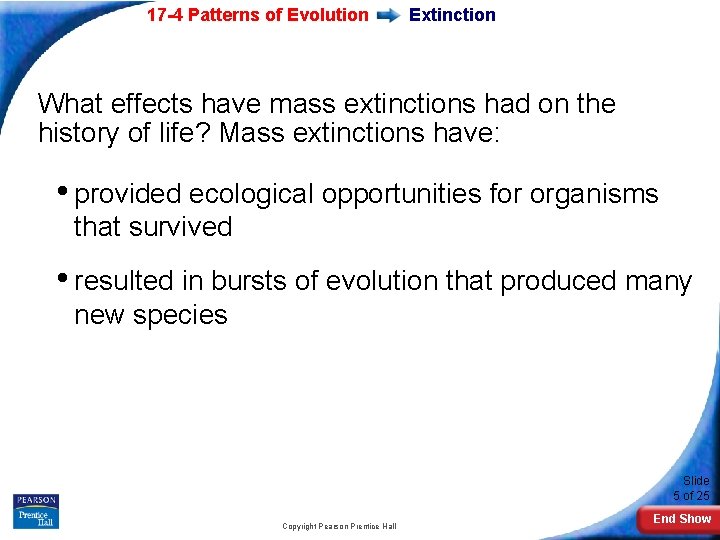 17 -4 Patterns of Evolution Extinction What effects have mass extinctions had on the