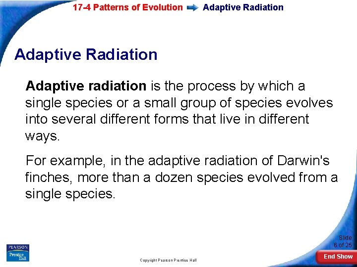 17 -4 Patterns of Evolution Adaptive Radiation Adaptive radiation is the process by which