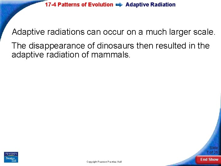 17 -4 Patterns of Evolution Adaptive Radiation Adaptive radiations can occur on a much