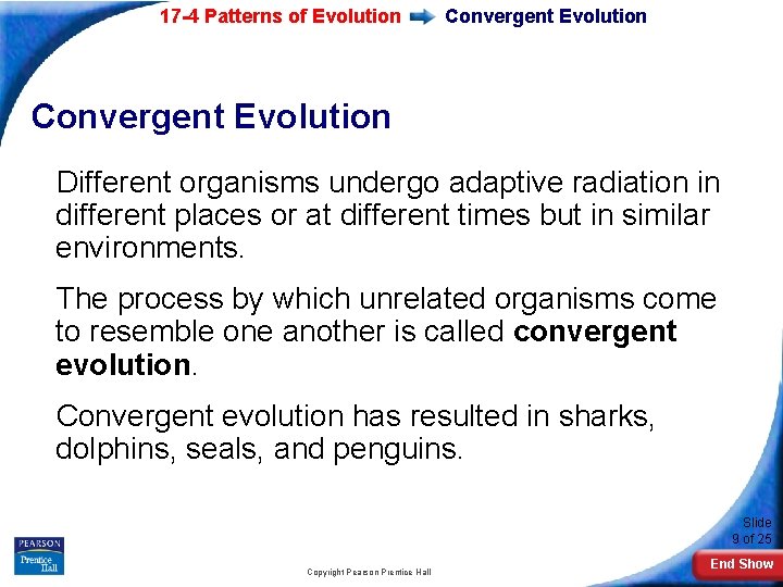 17 -4 Patterns of Evolution Convergent Evolution Different organisms undergo adaptive radiation in different