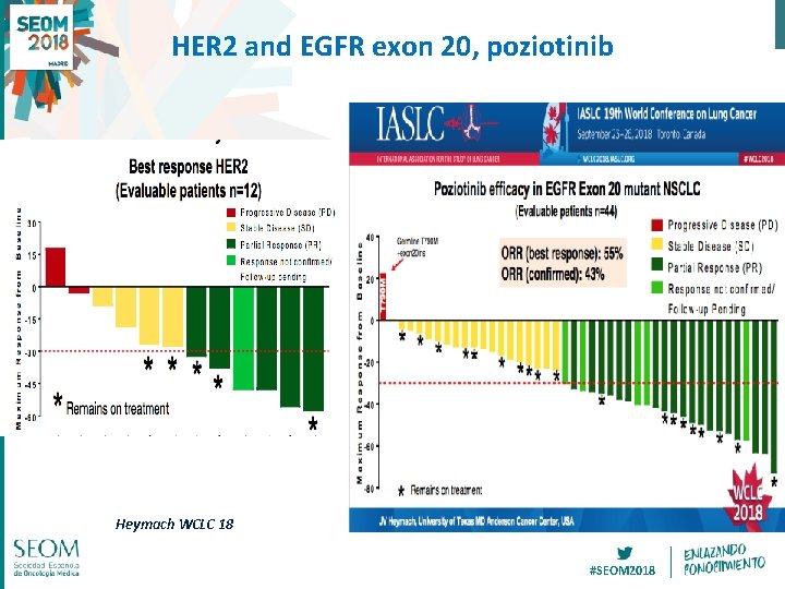 HER 2 and EGFR exon 20, poziotinib Heymach WCLC 18 #SEOM 2018 