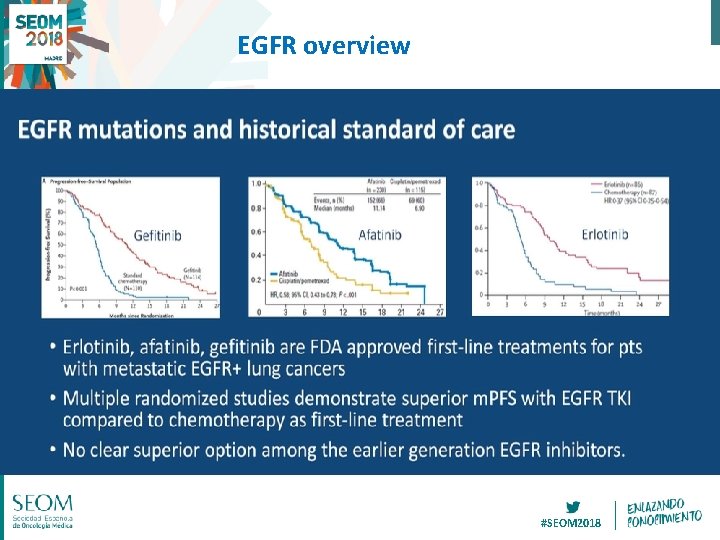 EGFR overview #SEOM 2018 
