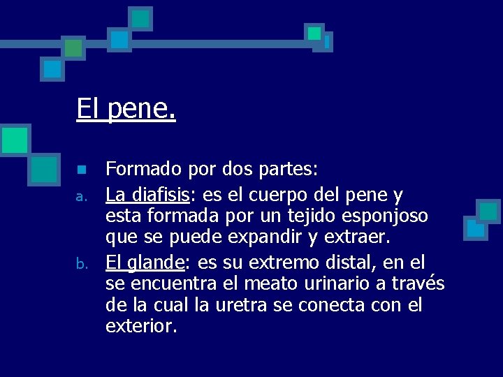 El pene. n a. b. Formado por dos partes: La diafisis: es el cuerpo