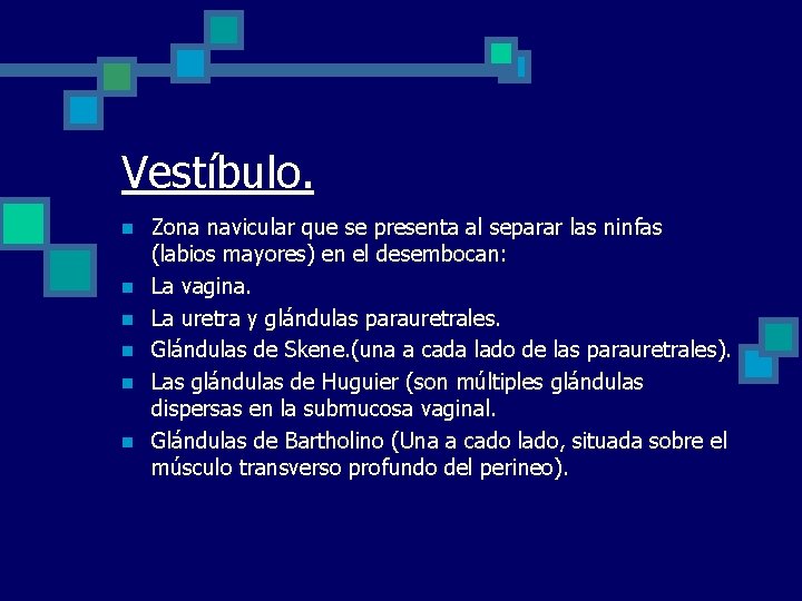 Vestíbulo. n n n Zona navicular que se presenta al separar las ninfas (labios