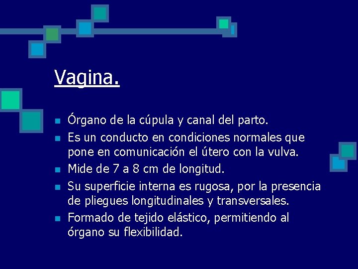 Vagina. n n n Órgano de la cúpula y canal del parto. Es un