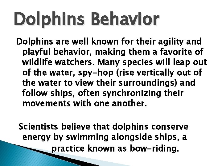 Dolphins Behavior Dolphins are well known for their agility and playful behavior, making them