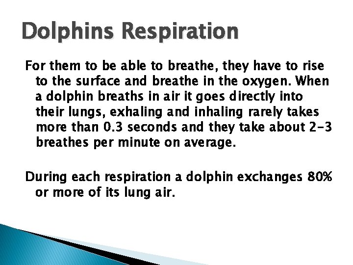 Dolphins Respiration For them to be able to breathe, they have to rise to