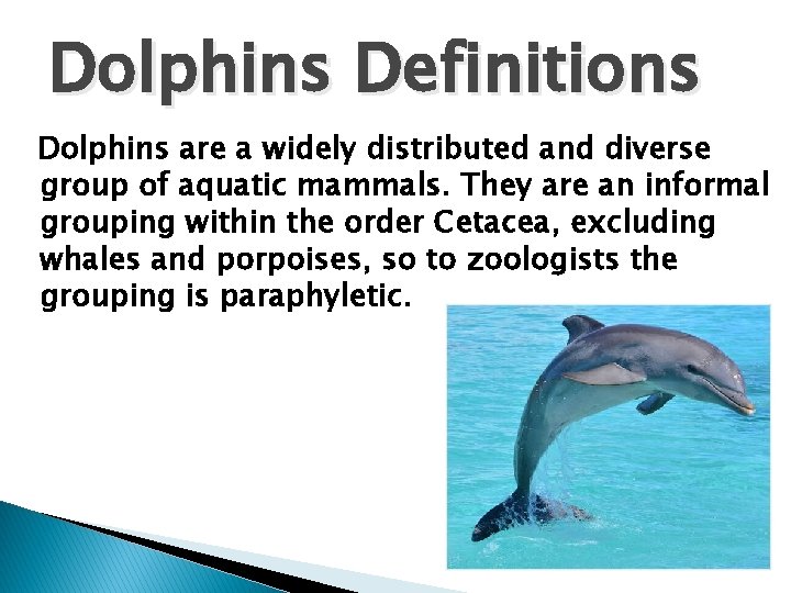 Dolphins Definitions Dolphins are a widely distributed and diverse group of aquatic mammals. They